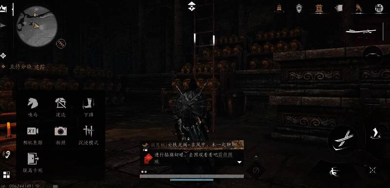 玩家利用梯子攀爬的画面