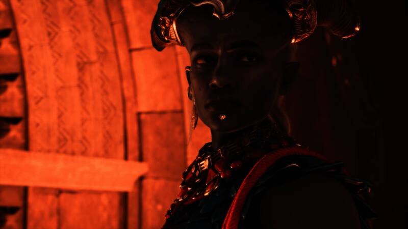 《龙腾世纪:影障守护者》相关画面