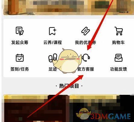 摩点APP点击官方客服界面