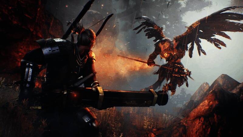 Team Ninja相关图片