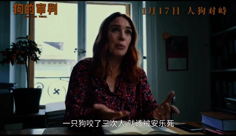 电影《狗的审判》视频截图2