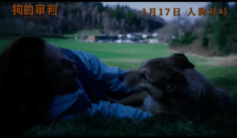 电影《狗的审判》视频截图4