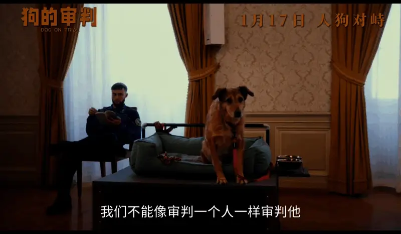 电影《狗的审判》视频截图10
