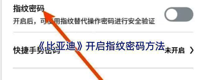 比亚迪 APP 指纹解锁相关页面示例