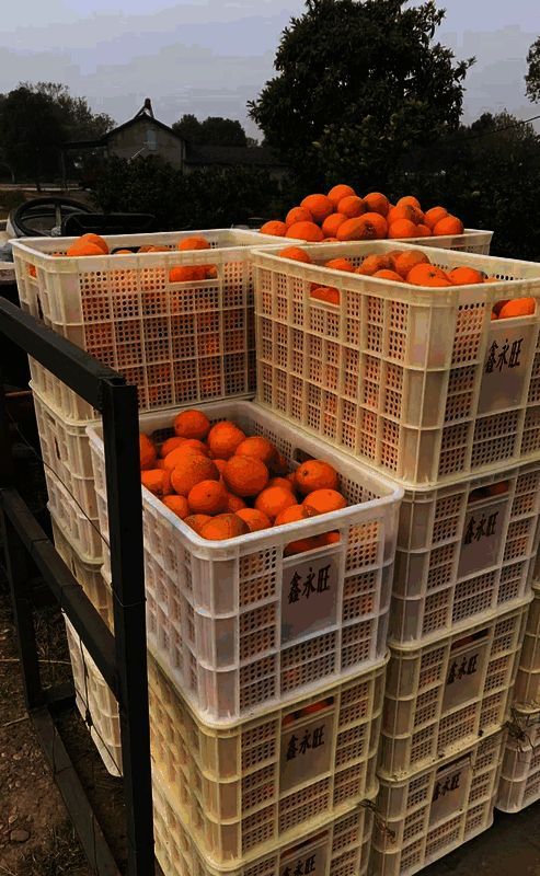 陈先生后续惠农计划相关图片