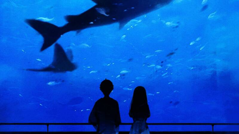 《琥珀末日》游戏截图6