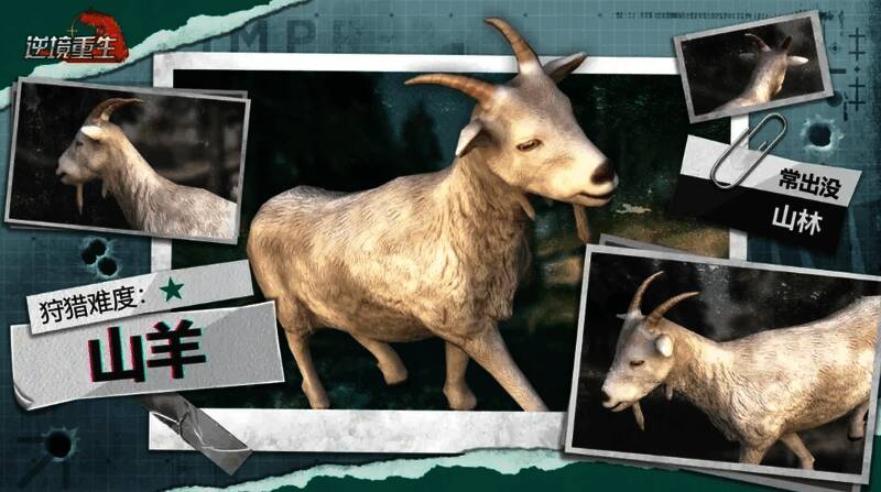 坐骑类恐龙图片