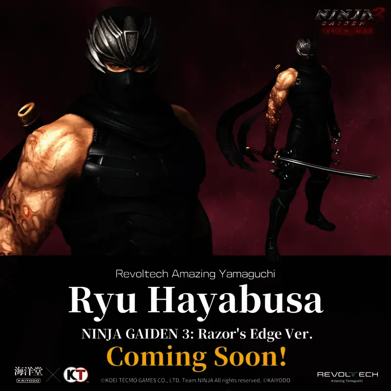 《忍者龙剑传3:刀锋边缘》隼龙和霞相关展示图1