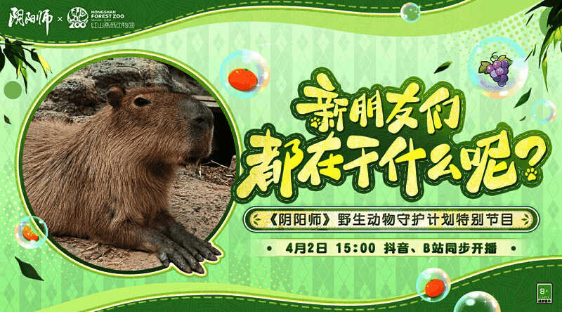 卡皮巴拉邀请连线的画面