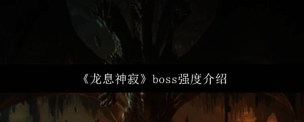 龙息神寂相关配图1