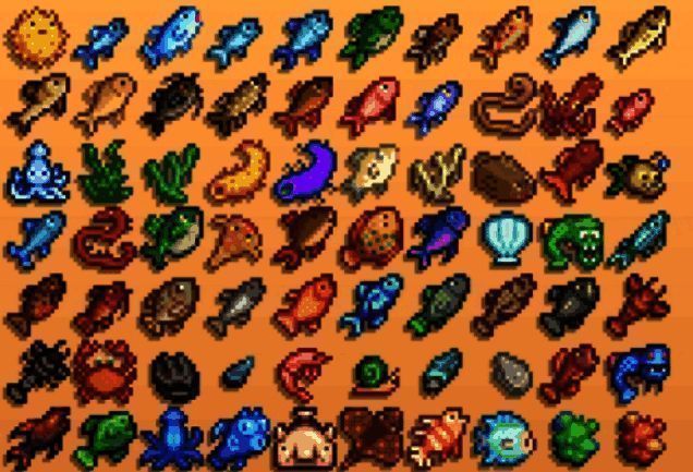 星露谷物语鱼类获取位置相关图片