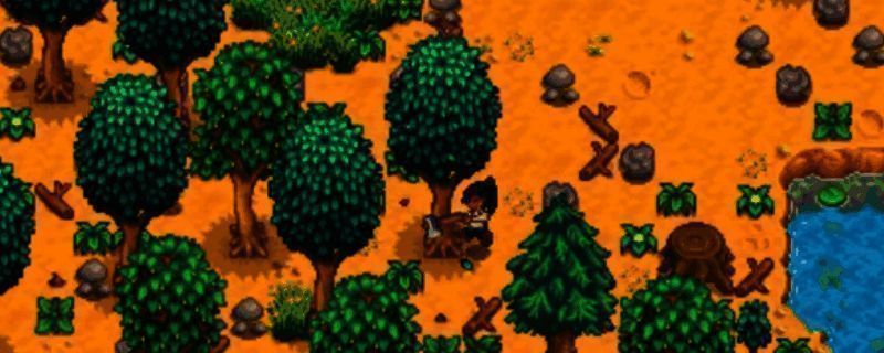 星露谷物语装备附魔相关图片