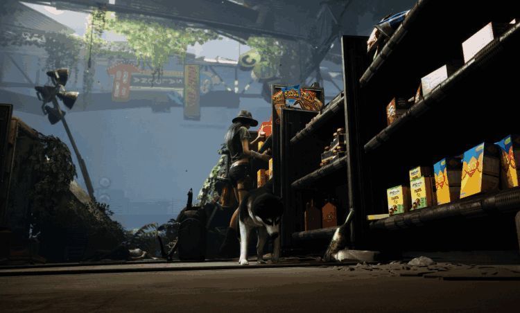 《荒野迷城》中丽雅寻找物资画面