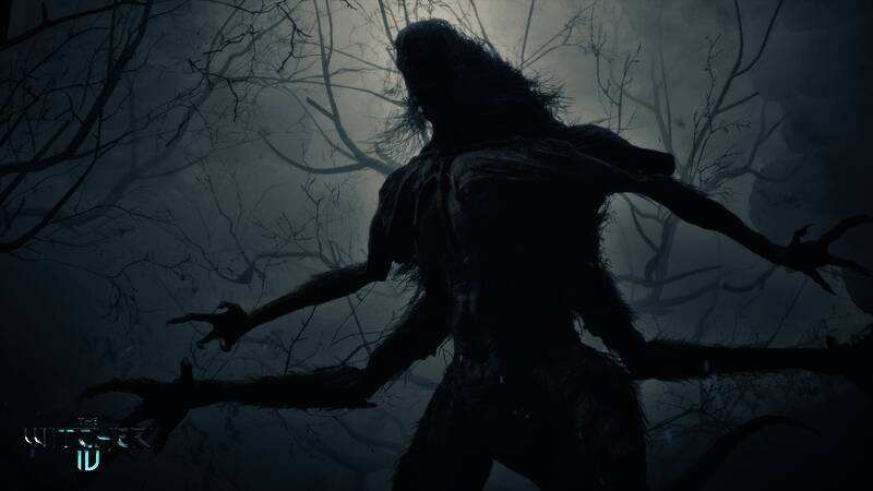 《巫师4》相关画面1