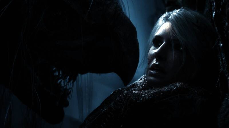 《巫师4》相关画面2