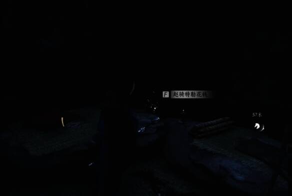 赵将特勒花钱山洞入口图