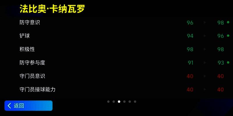 卡纳瓦罗赛场风采图片4