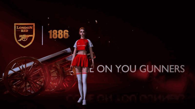 阿森纳主题名牌相关图片