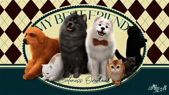 《以闪亮之名》宠物系统相关画面 10