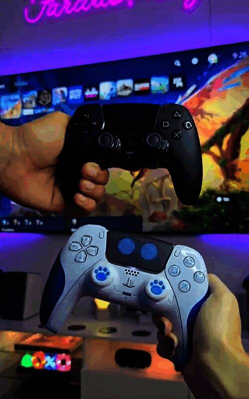 《双影奇境》相关图片3