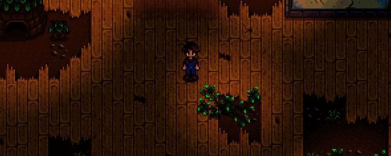 星露谷物语沙漠商人相关画面