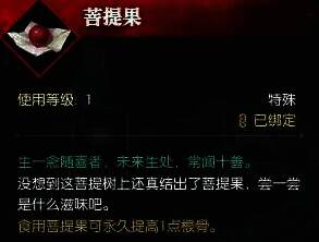 使用菩提果提升根骨的界面