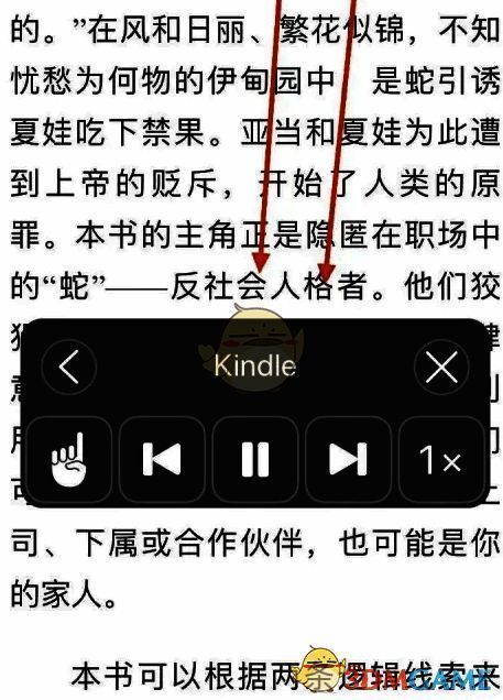 语音播放器出现配图