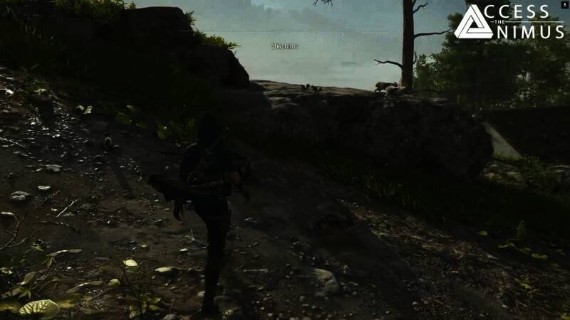 《刺客信条：影》游戏画面截图7