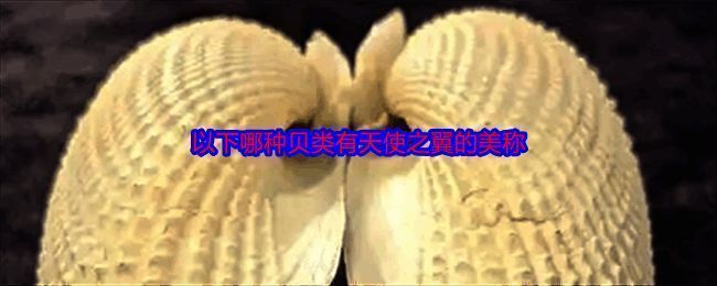 神奇海洋相关图片