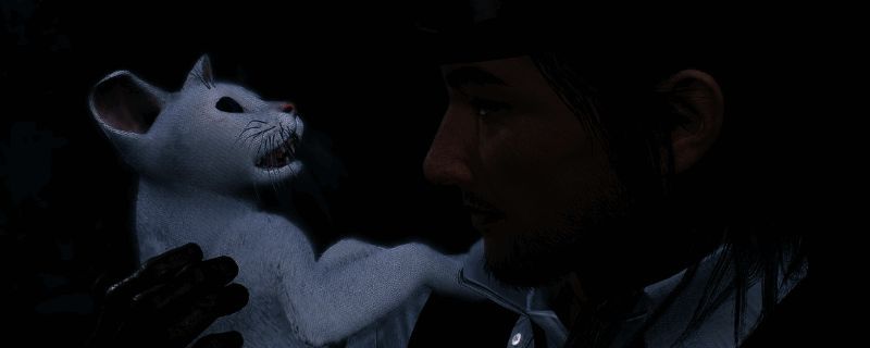 浪人崛起猫咪收集相关图片1