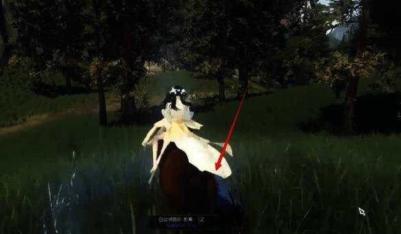 仙居原光圈内画面