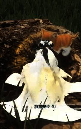 布置笼子和小鱼干的详细画面