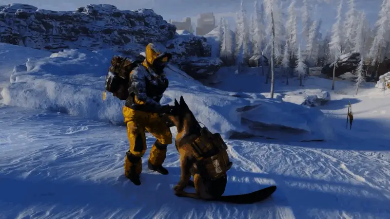 《永冻纪元》视频截图3