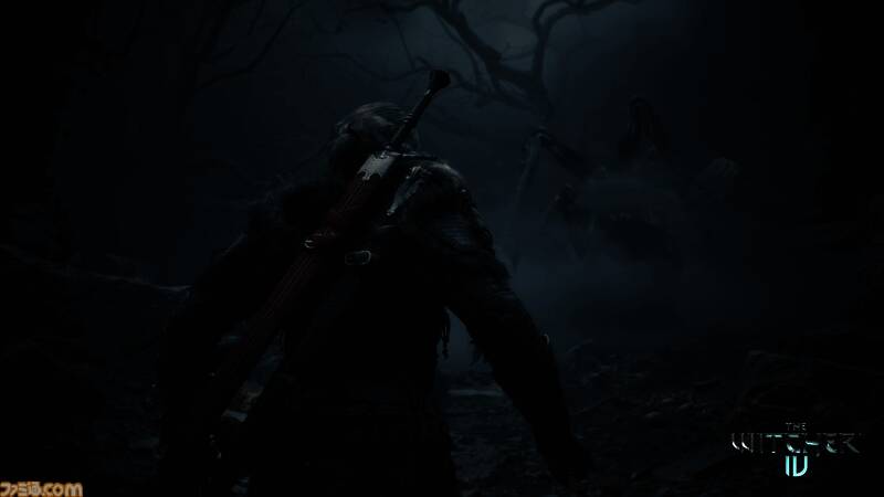 《巫师4》相关图片3