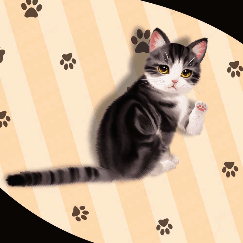 矮脚虎银斑猫咪图片