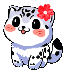 守护雪山精灵雪豹公益活动宣传动图