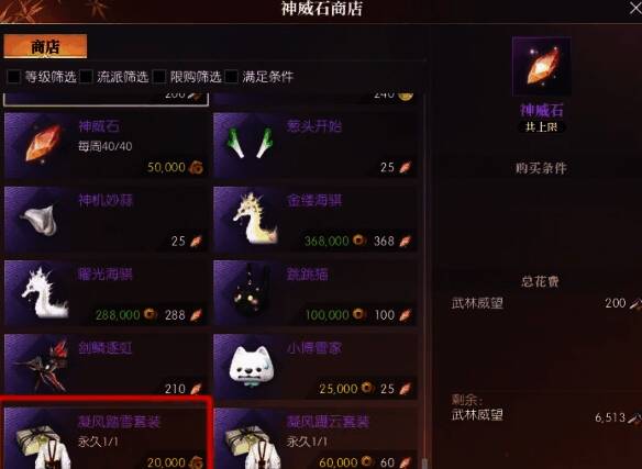 逆水寒手游凝风踏雪时装购买界面图片