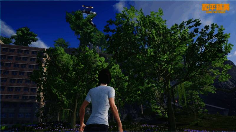 中传迎新KT板及树林场景