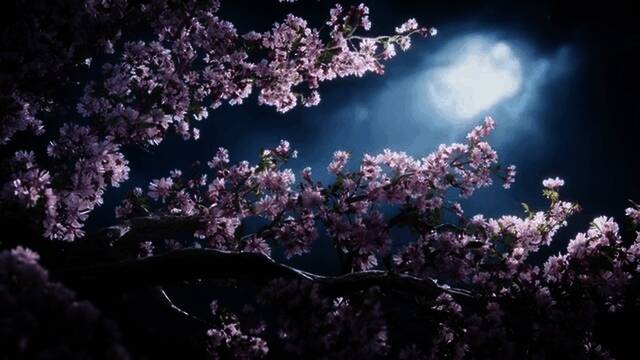 《燕云十六声》视频截图1