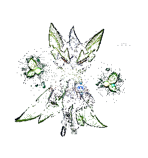 酷猫忍者技能展示动图