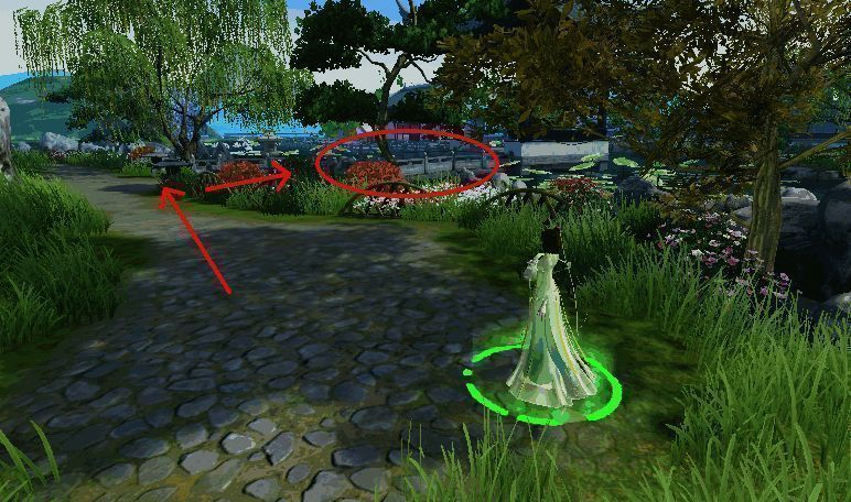 甘草位置相关图片