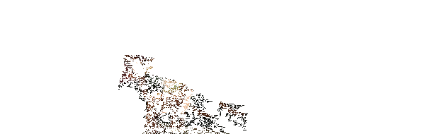 废城喵游记游戏动态画面1