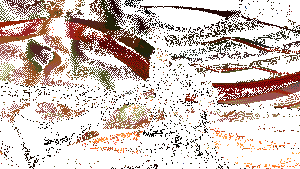 林雪刃创角界面展示1