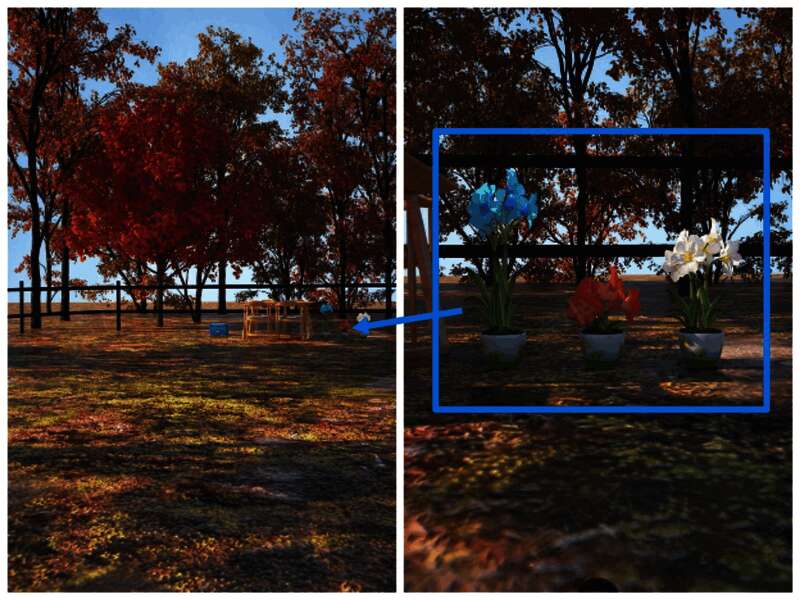 花瓶及花的画面