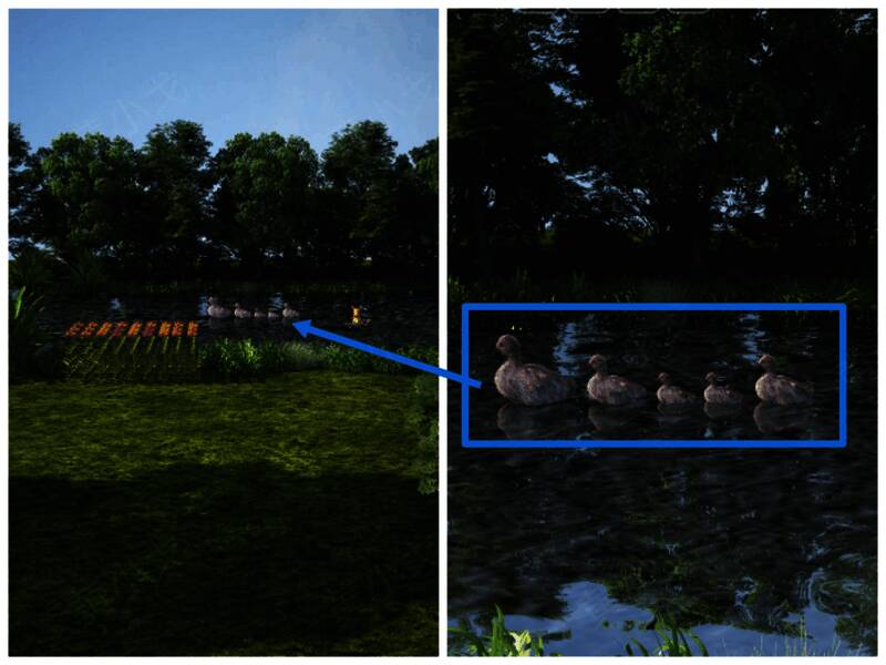 河里鸭子的画面