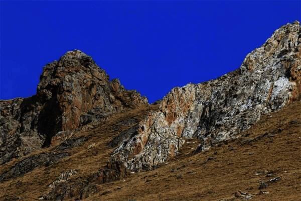 雪豹在自然环境中