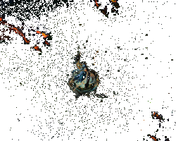 宫·赤之霞音波效果动画