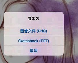 sketchbook能导出png格式吗?怎么把sketchbook上的图保存为jpg模式? 选择分享后可选择的保存格式界面
