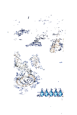 天逆每新皮肤·星夜羽动态展示2