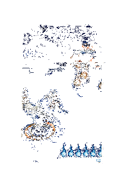 天逆每新皮肤·星夜羽动态展示5